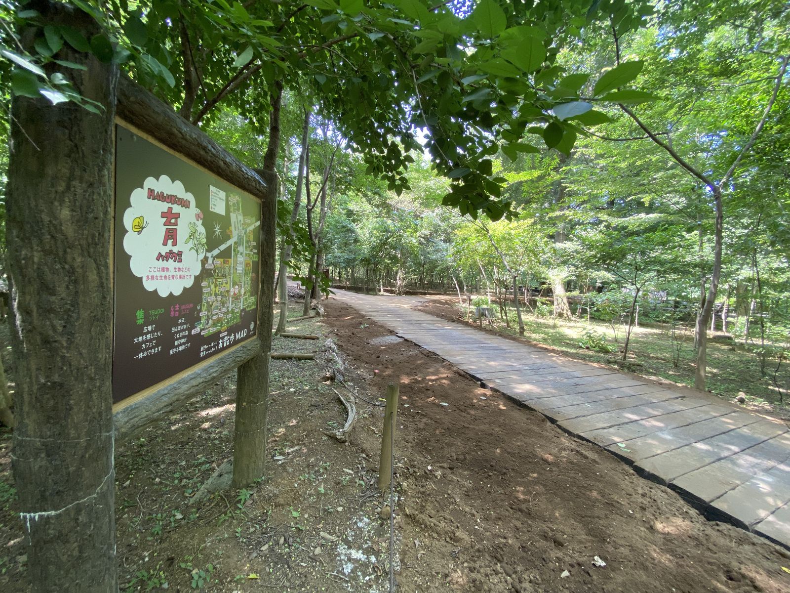 土木工事・園路整備