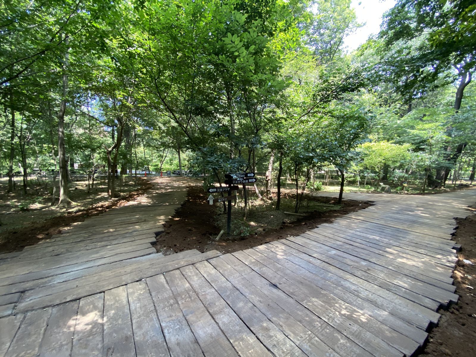 造園・庭木のお手入れ